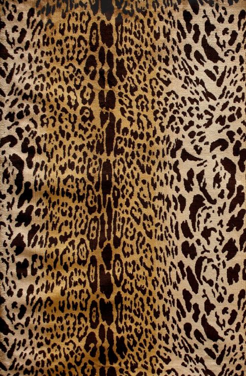  Leopardo  Velluti